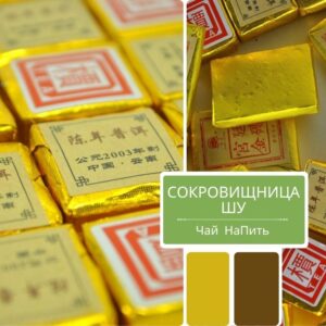 Сокровищница Шу